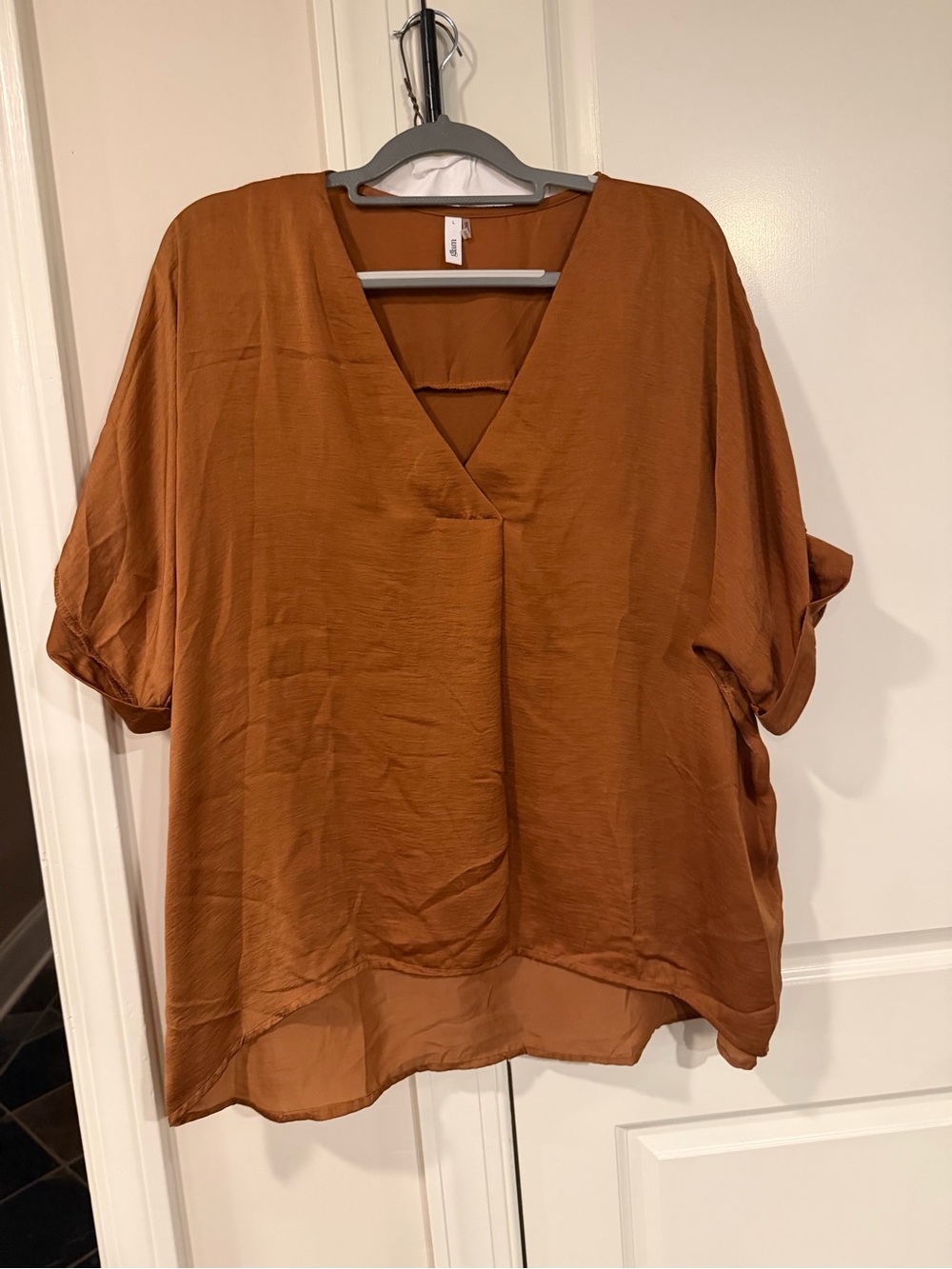 glam V-Neck Short Sleeve Blouse in Rust